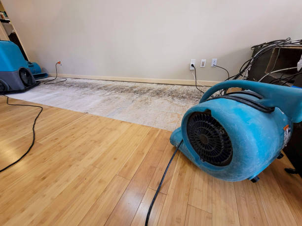 Professional Water Removal technician working in Kosciusko, MS